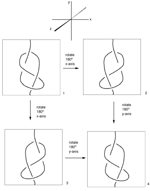 fig8knot
