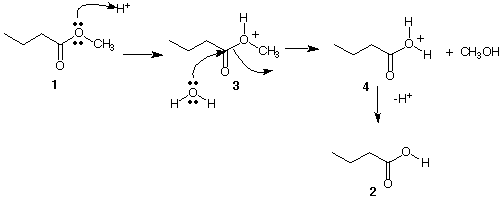 Carbonyl Mechanisms: Elimination (1,2-Elimination)